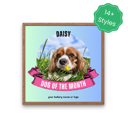 Dog of the Month